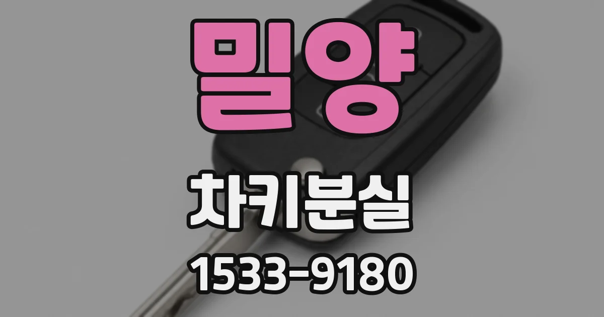 밀양 차키분실