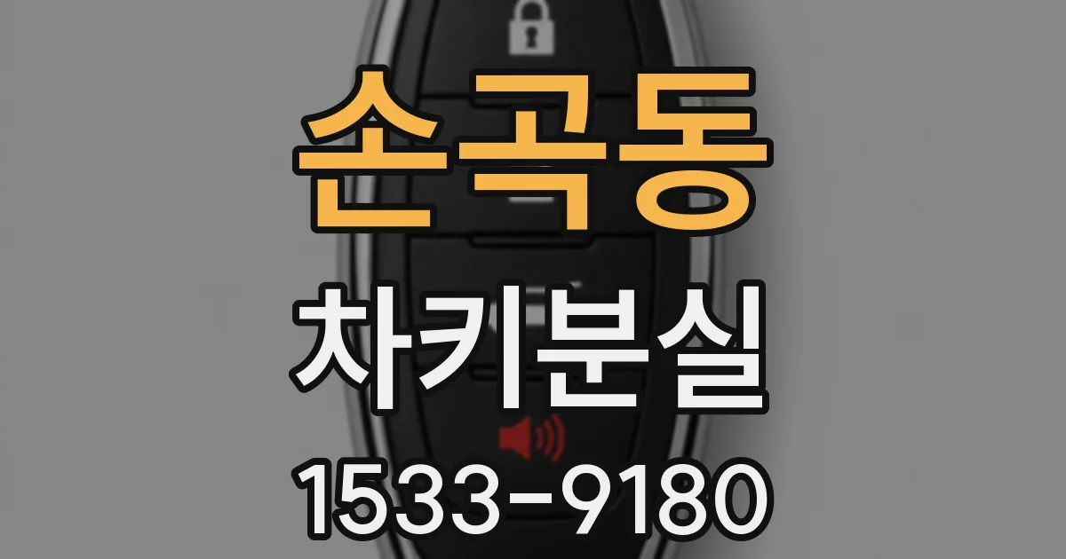 손곡동 차키분실