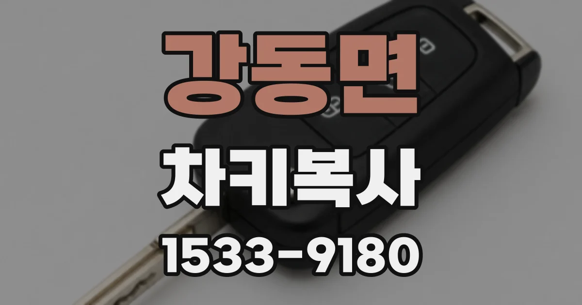 강동면 차키복사