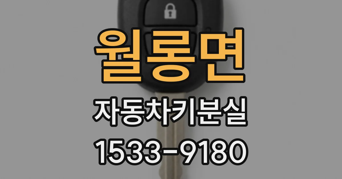 월롱면 자동차키분실