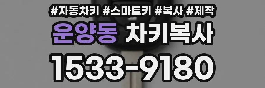 운양동 차키복사