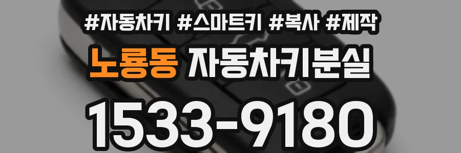 노룡동 자동차키분실
