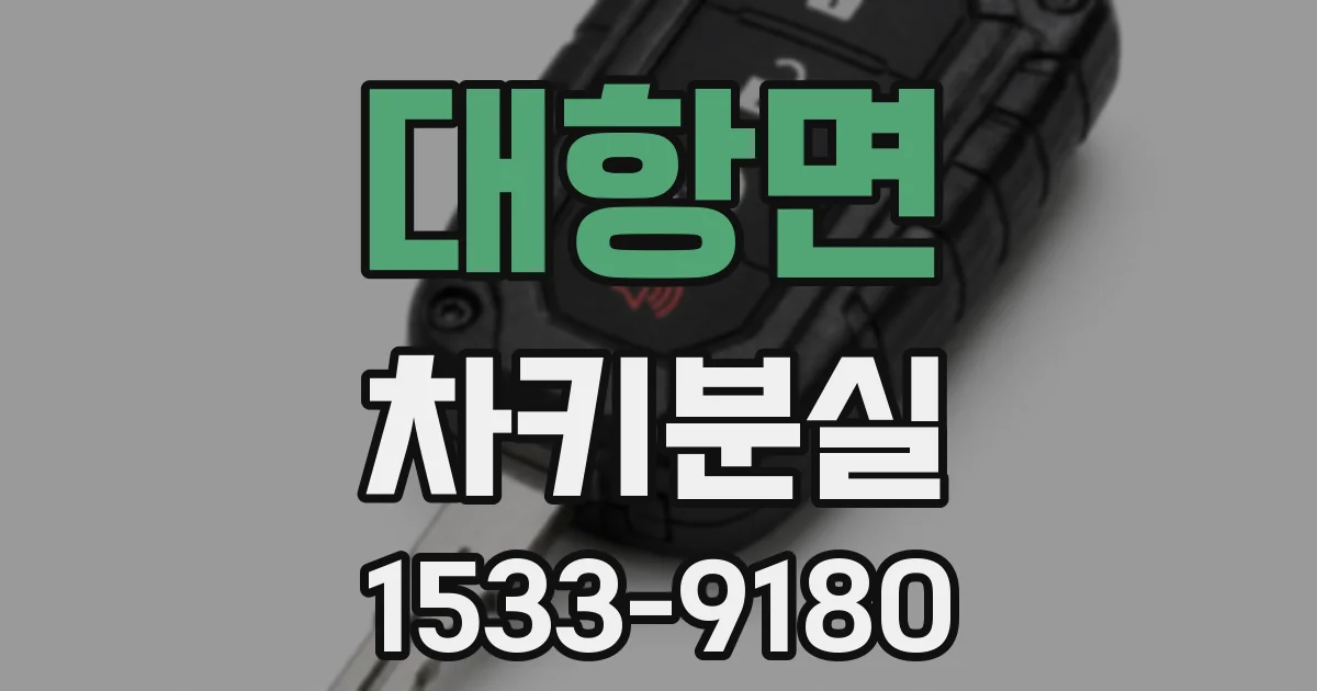 대항면 차키분실