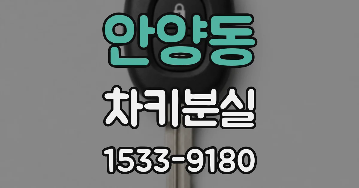 안양동 차키분실