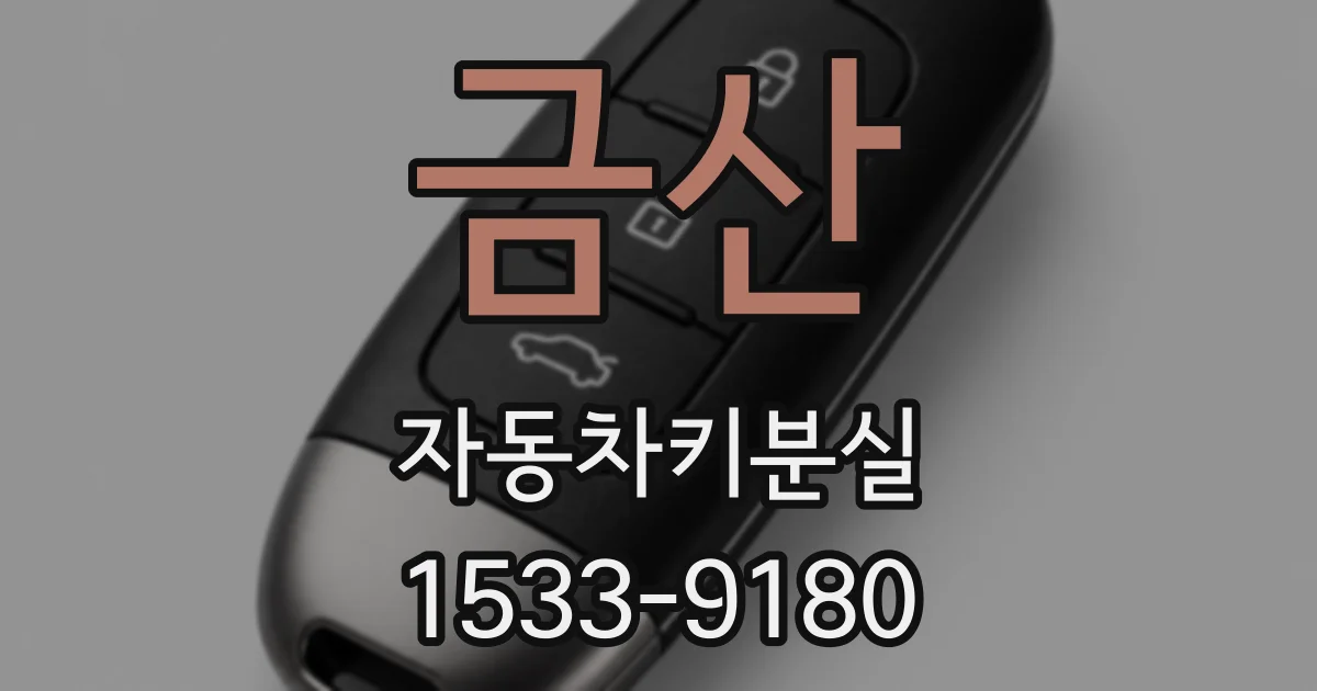 금산 자동차키분실