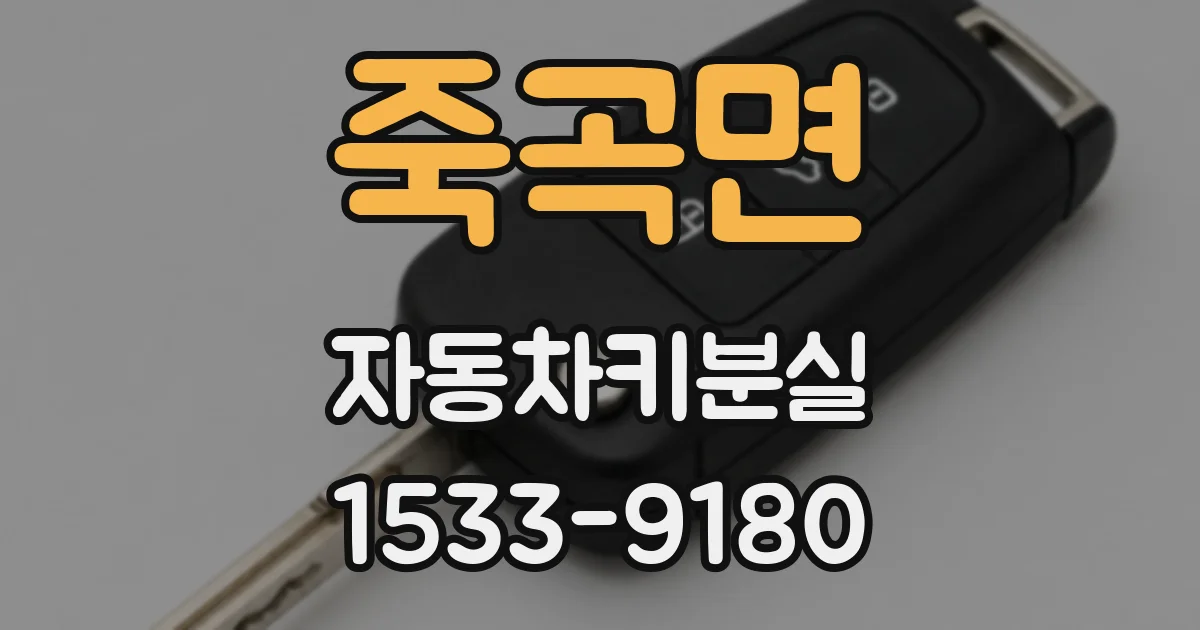 죽곡면 자동차키분실