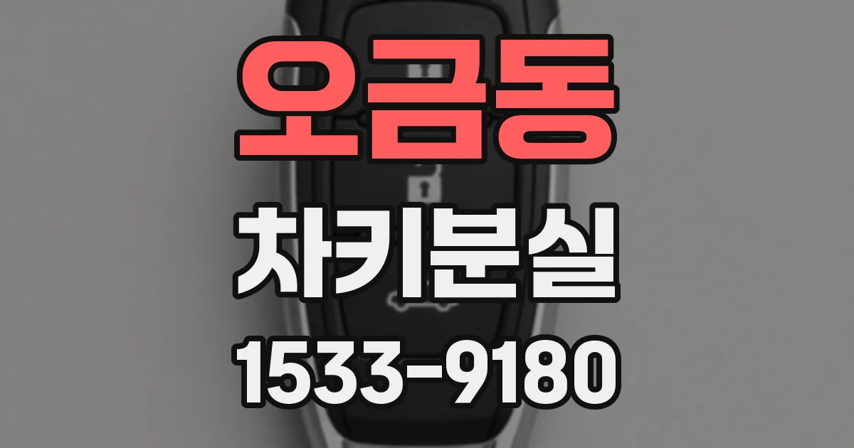 오금동 차키분실