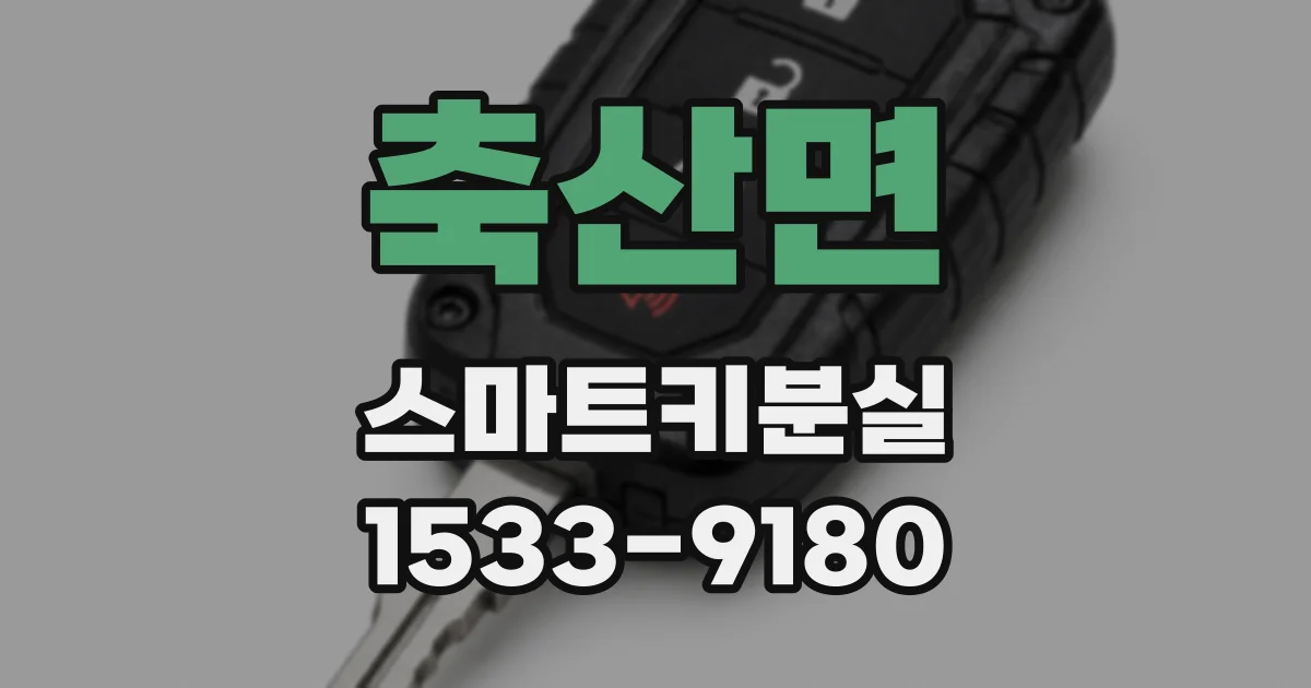 축산면 스마트키분실