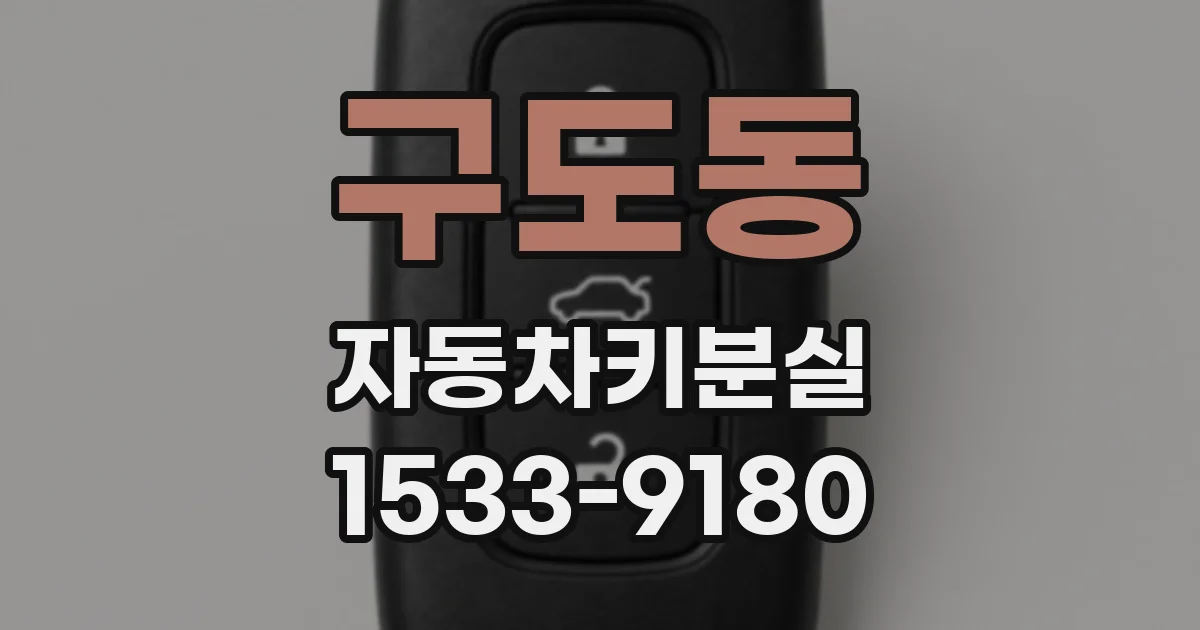 구도동 자동차키분실