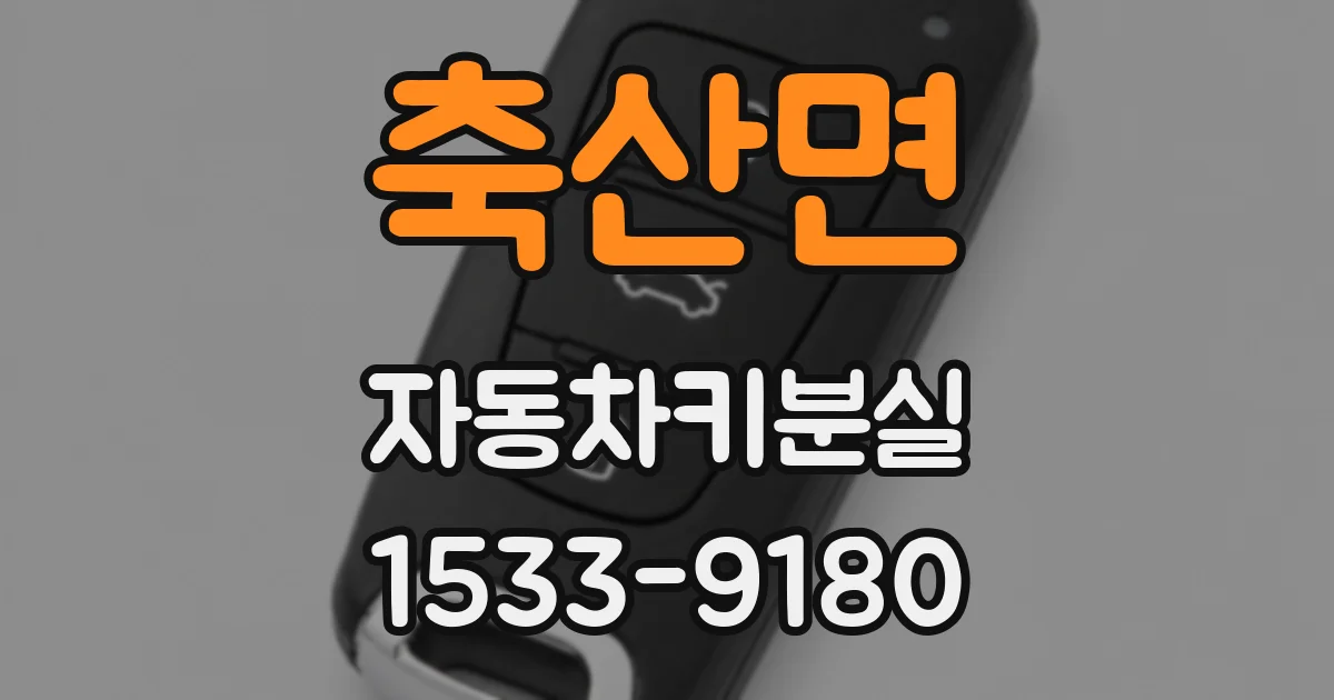 축산면 자동차키분실