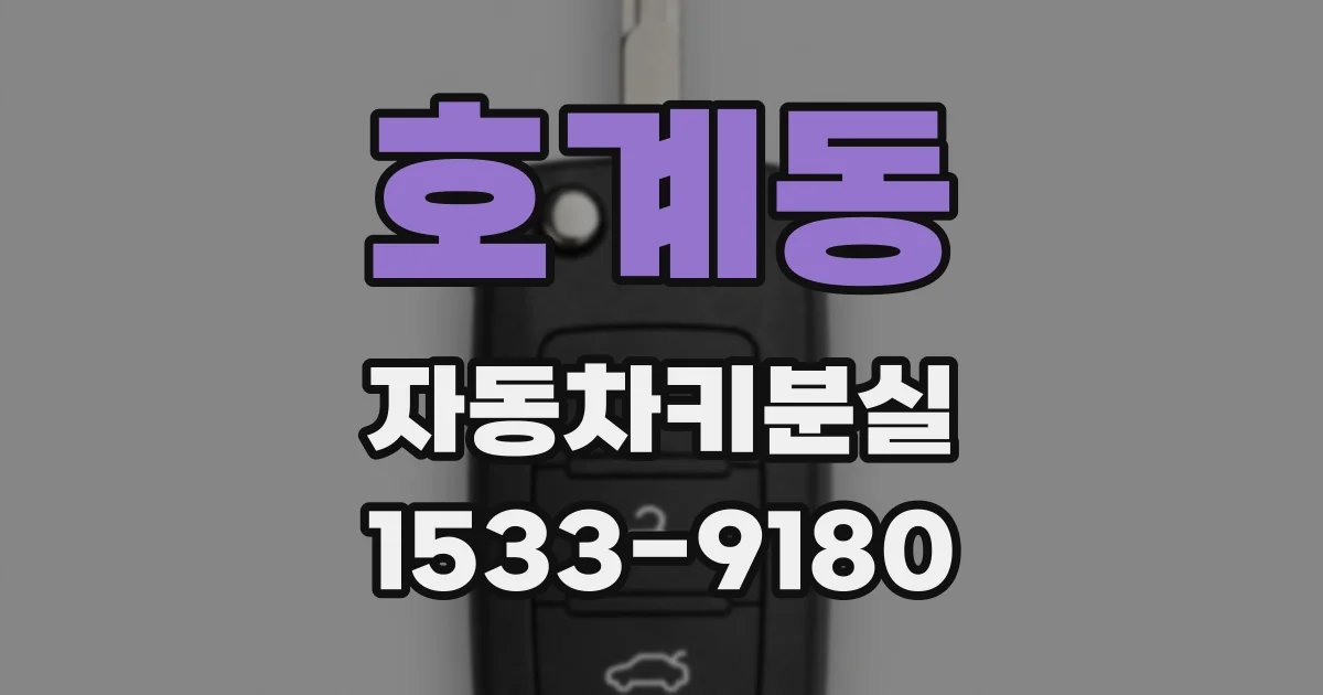 호계동 자동차키분실