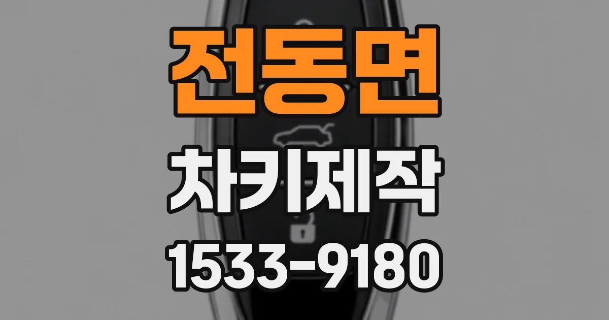 전동면 차키제작
