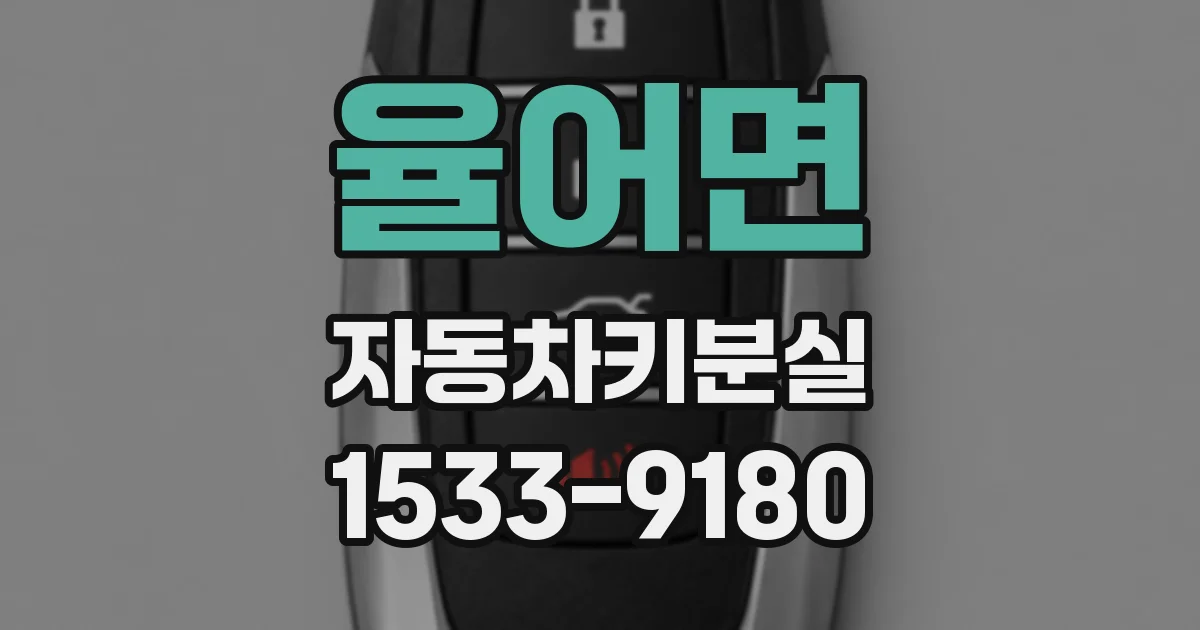 율어면 자동차키분실