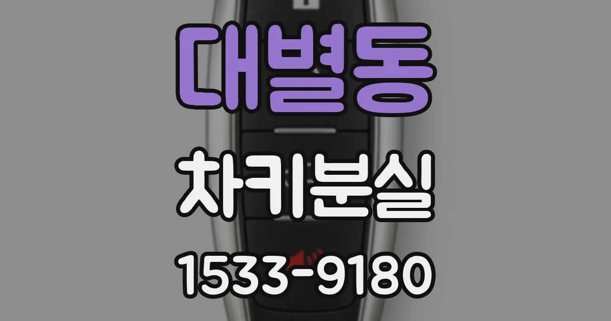 대별동 차키분실
