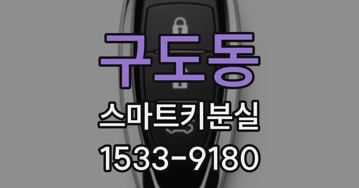 구도동 스마트키분실