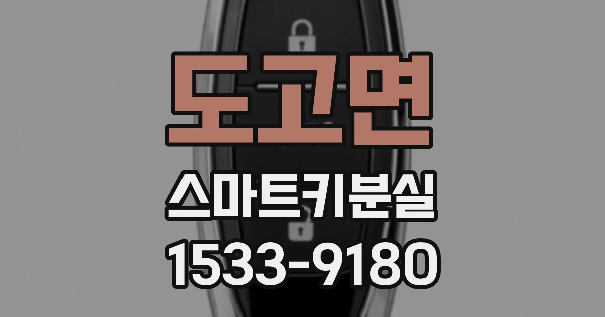 도고면 스마트키분실