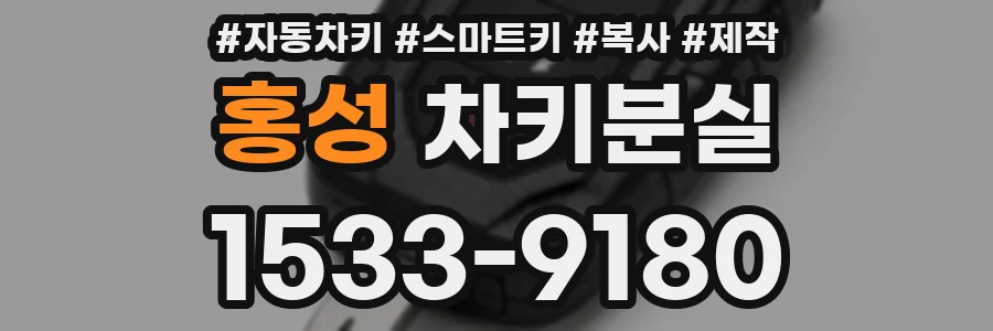 홍성 차키분실