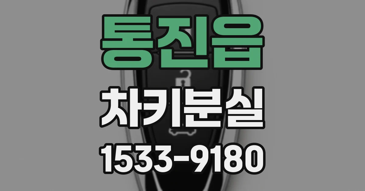 통진읍 차키분실