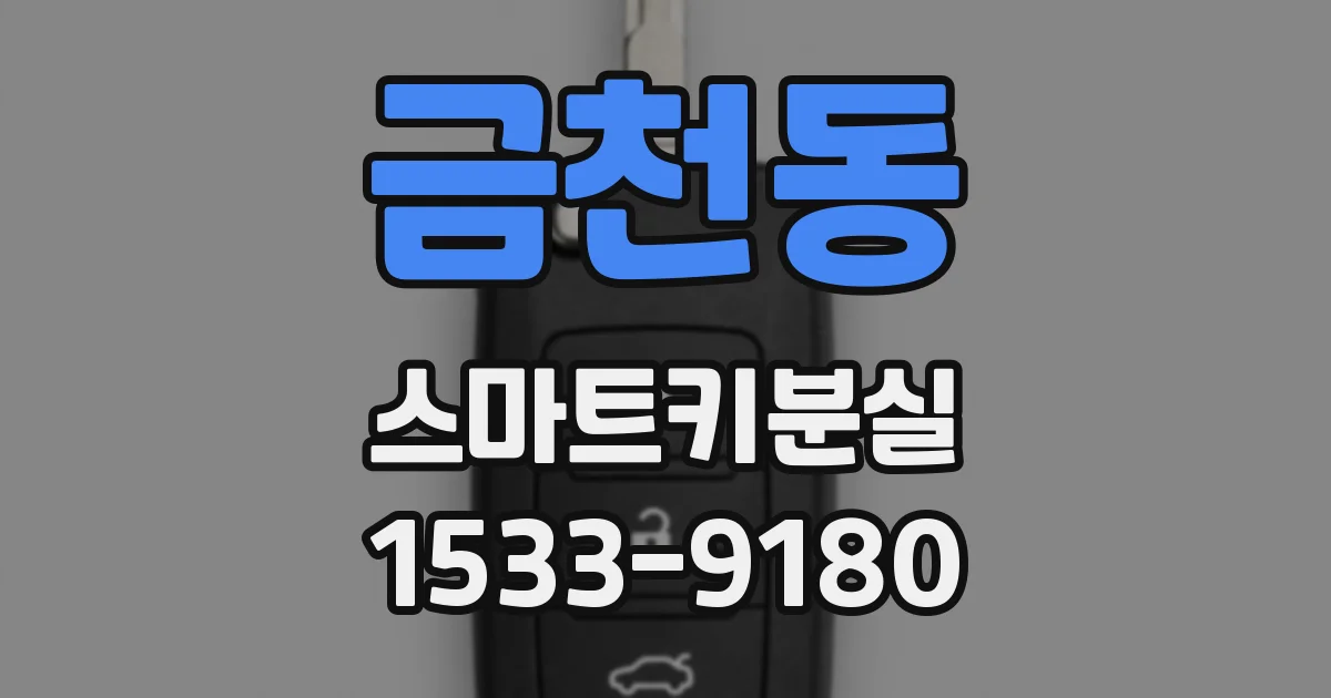 금천동 스마트키분실