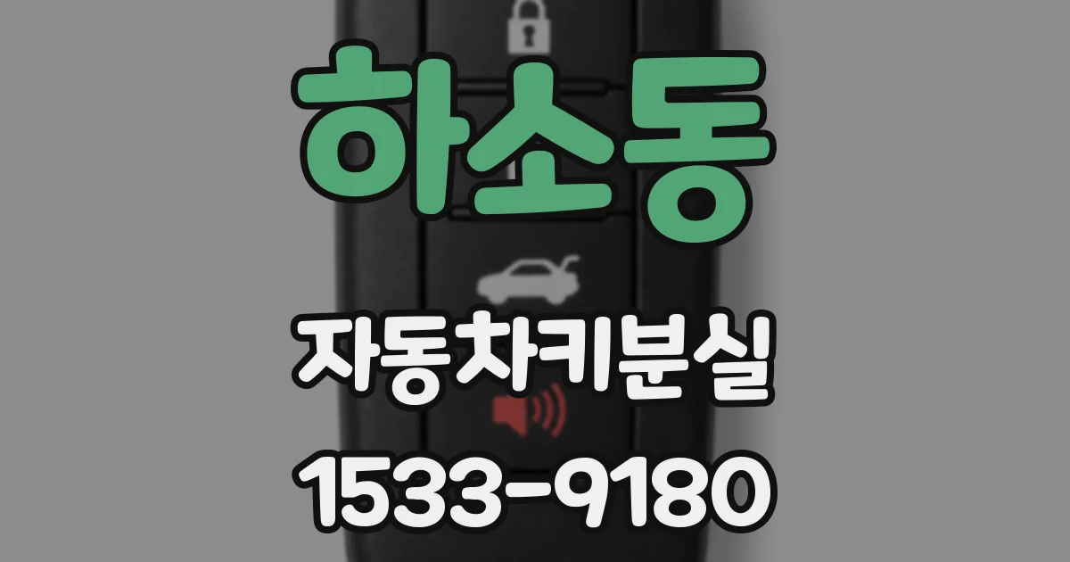 하소동 자동차키분실