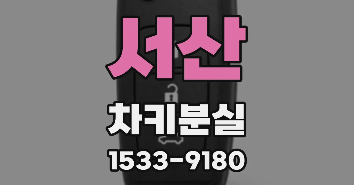 서산 차키분실