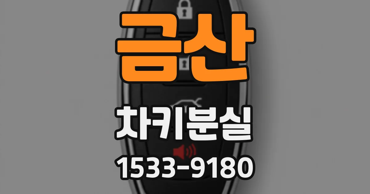 금산 차키분실
