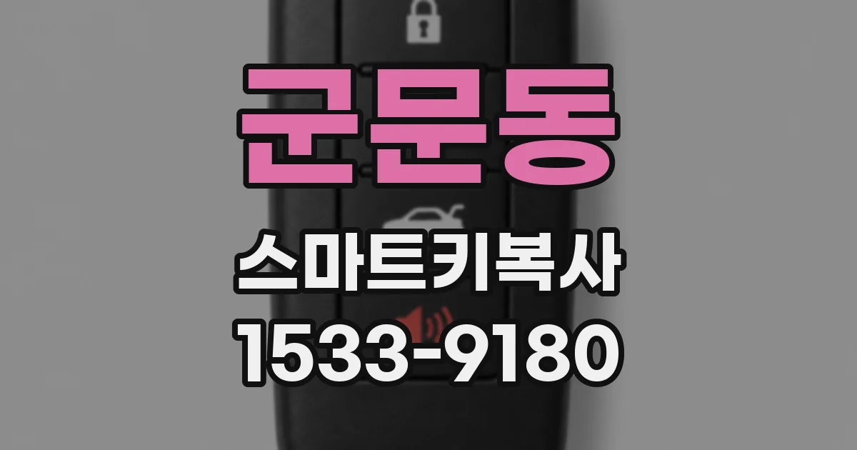 군문동 스마트키복사