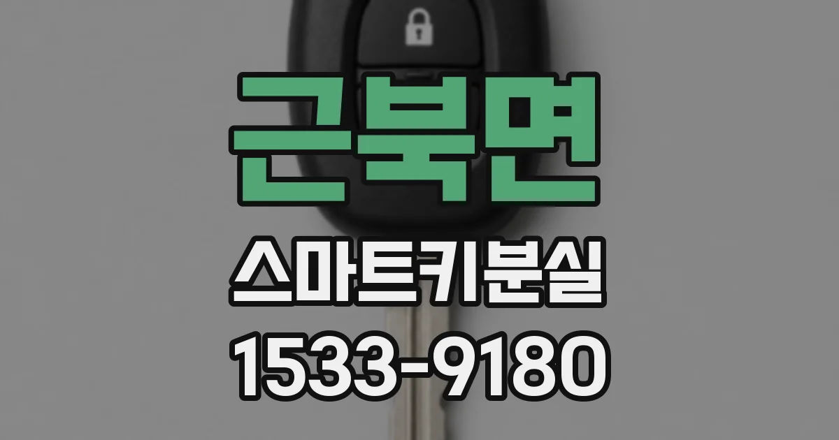 근북면 스마트키분실