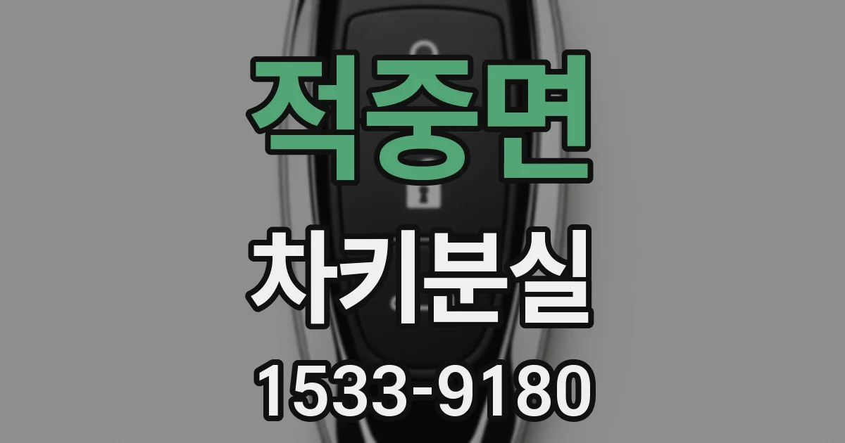 적중면 차키분실