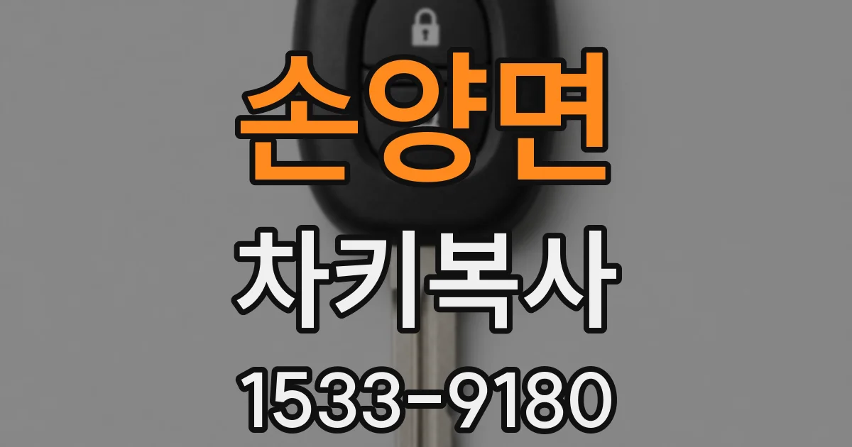 손양면 차키복사