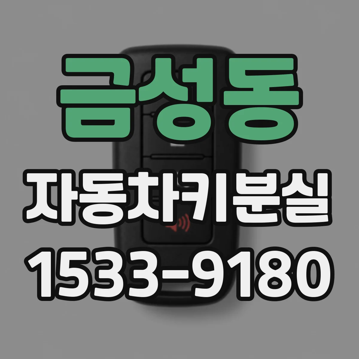 금성동 자동차키분실