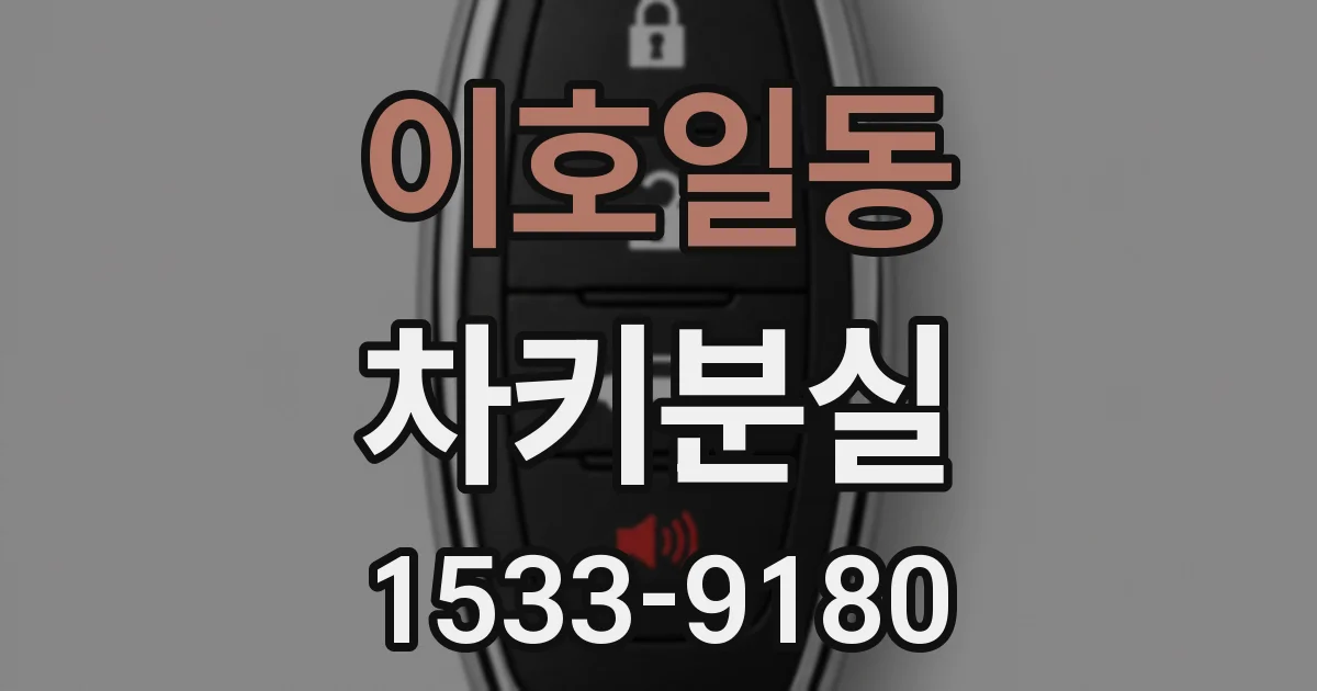 이호일동 차키분실