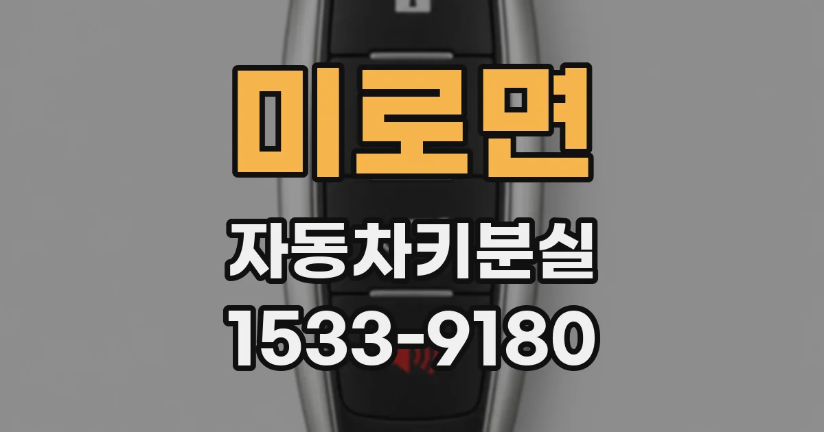 미로면 자동차키분실