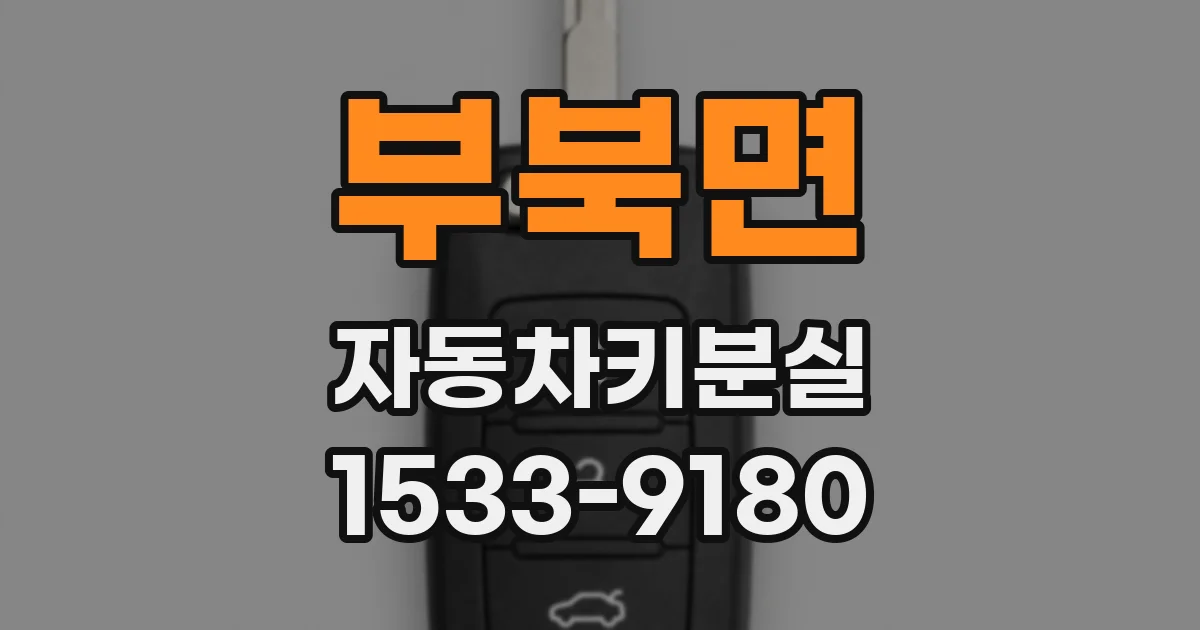 부북면 자동차키분실