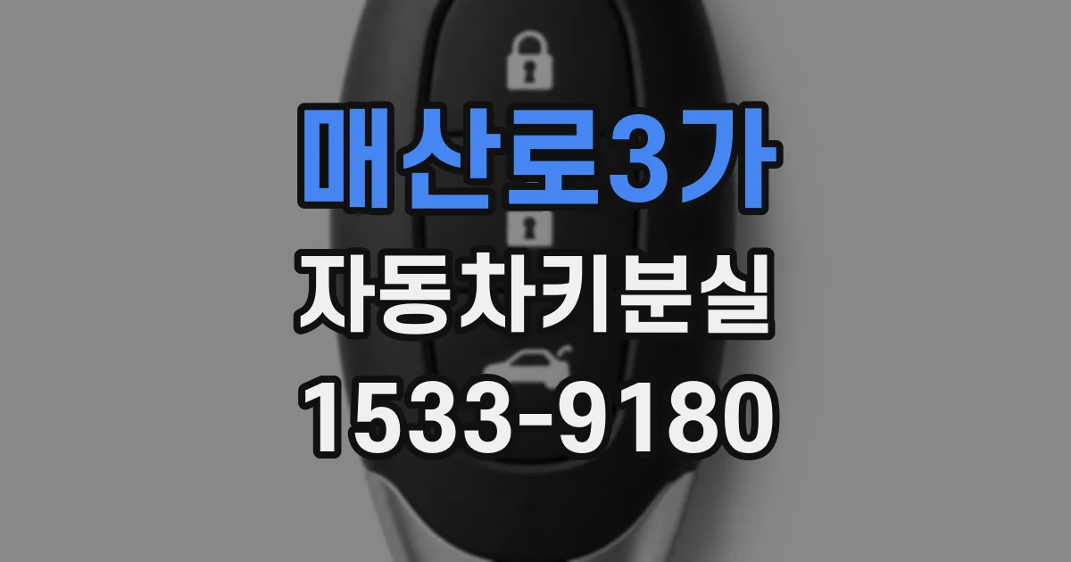 매산로3가 자동차키분실
