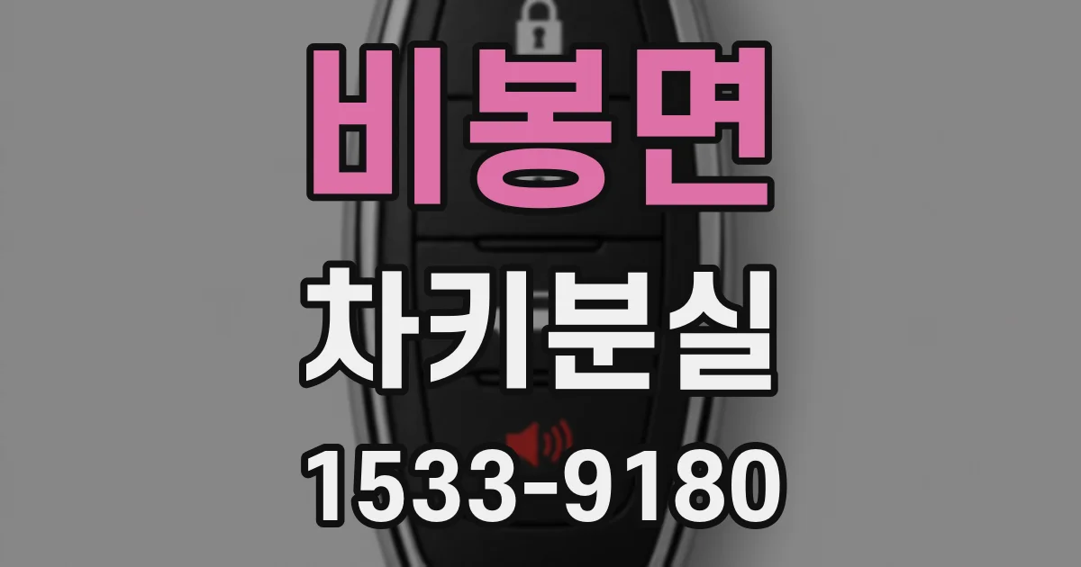 비봉면 차키분실