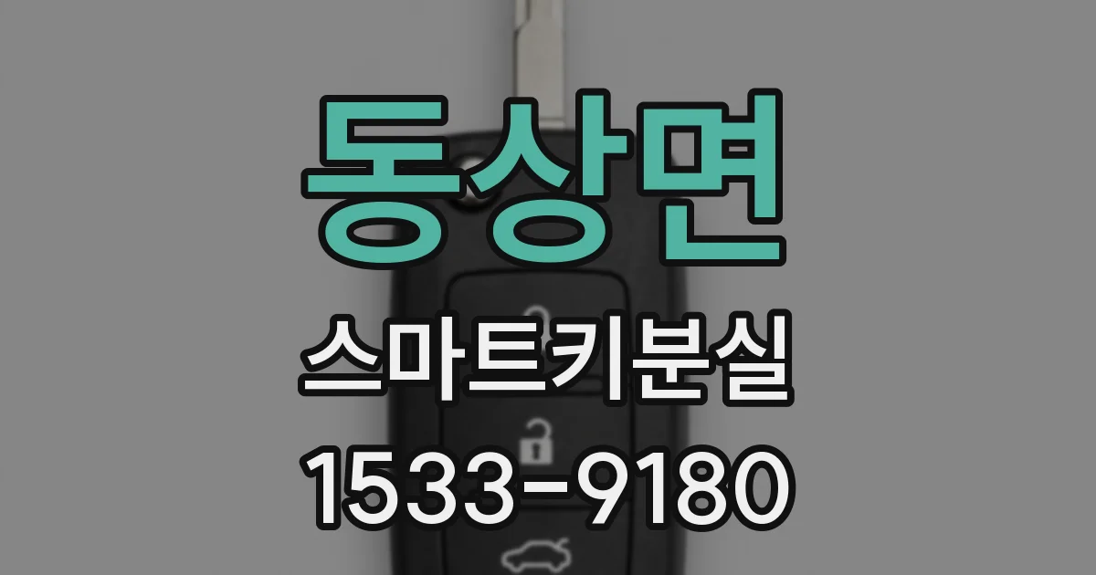동상면 스마트키분실