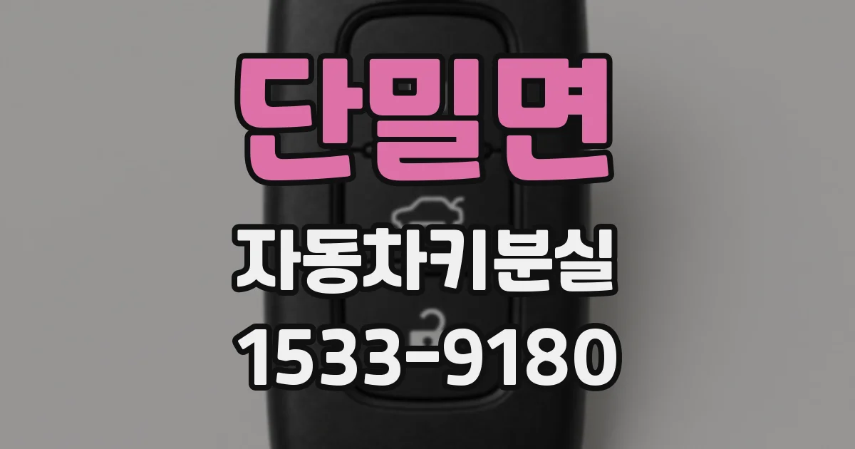 단밀면 자동차키분실
