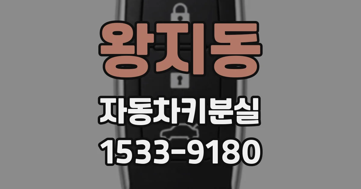 왕지동 자동차키분실
