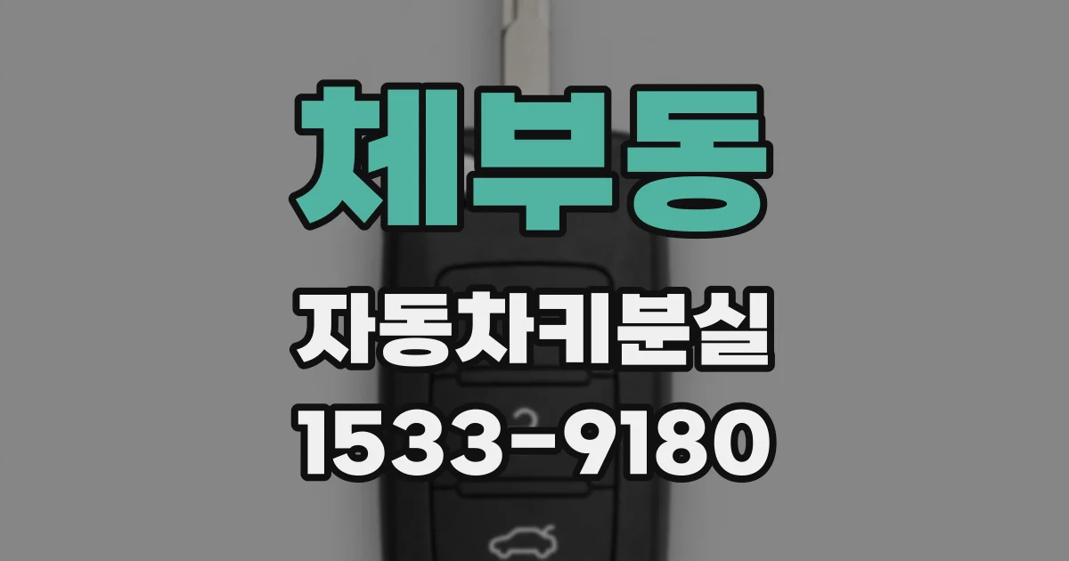 체부동 자동차키분실