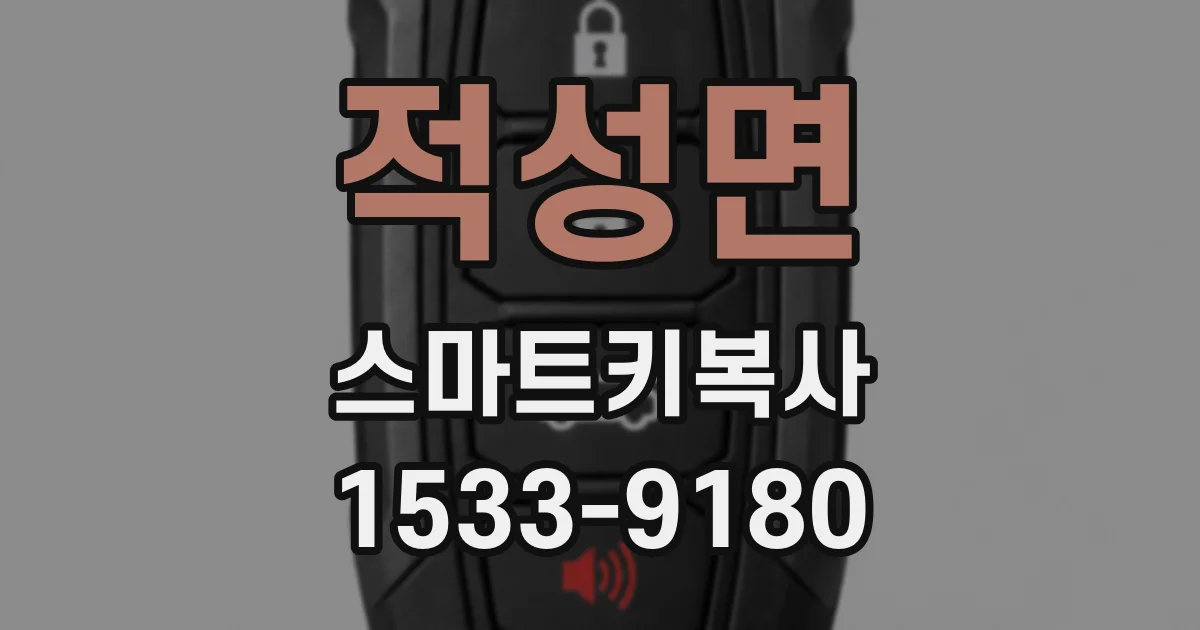 적성면 스마트키복사