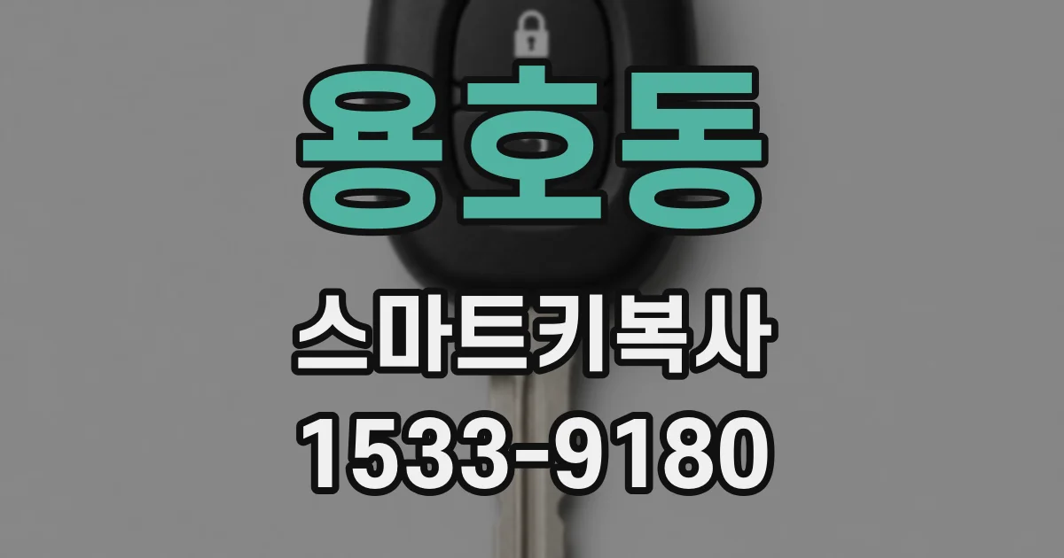 용호동 스마트키복사
