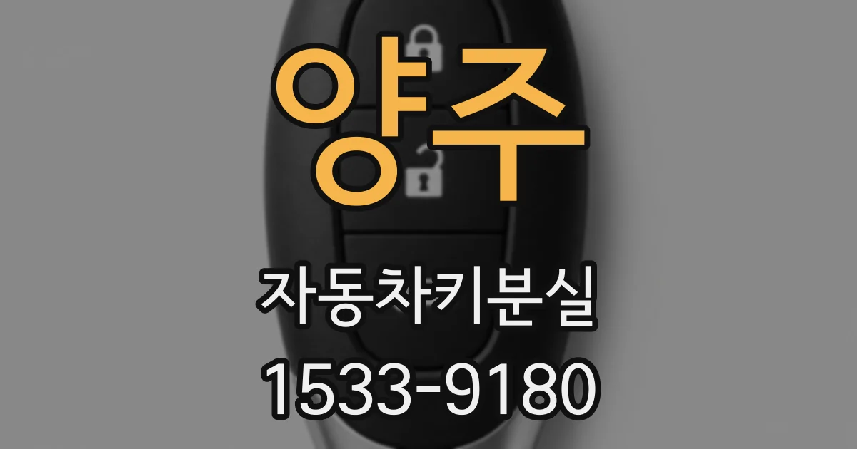 양주 자동차키분실