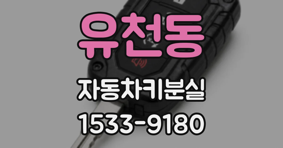 유천동 자동차키분실