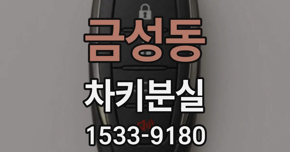 금성동 차키분실