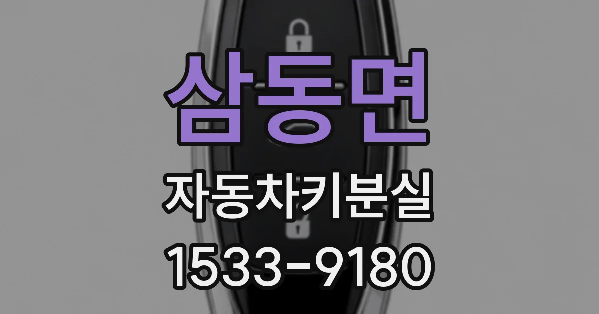 삼동면 자동차키분실