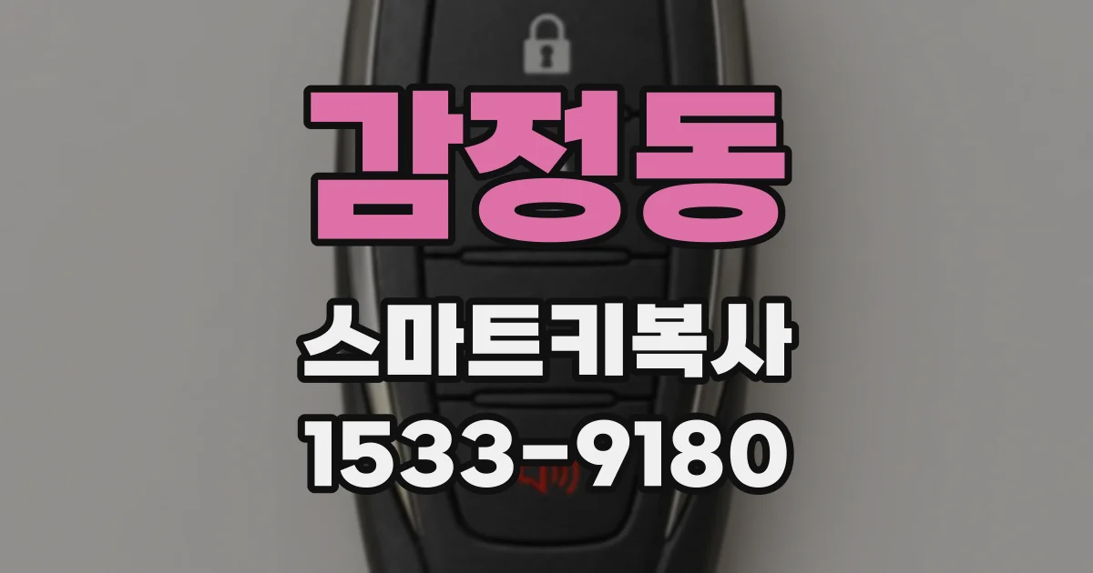 감정동 스마트키복사