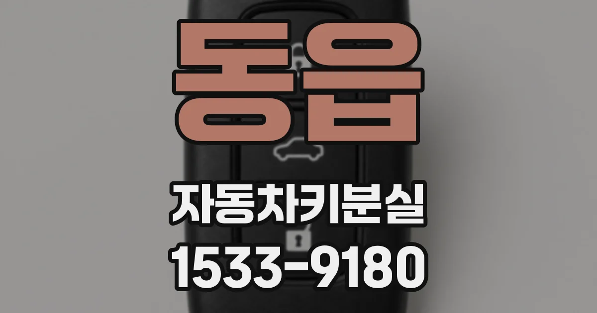 동읍 자동차키분실