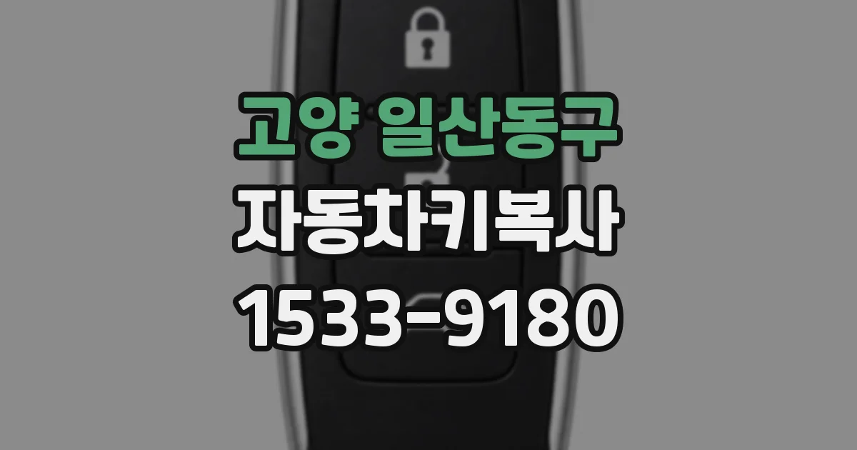 고양 일산동구 자동차키복사