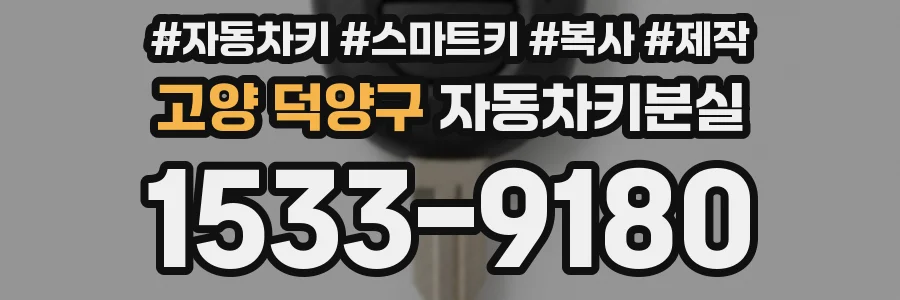 고양 덕양구 자동차키분실